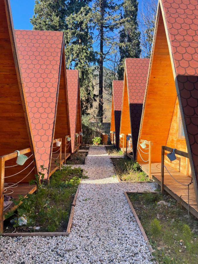 Gemicihan Bungalov Daire Adrasan Dış mekan fotoğraf